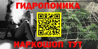 твердый Нальчик
