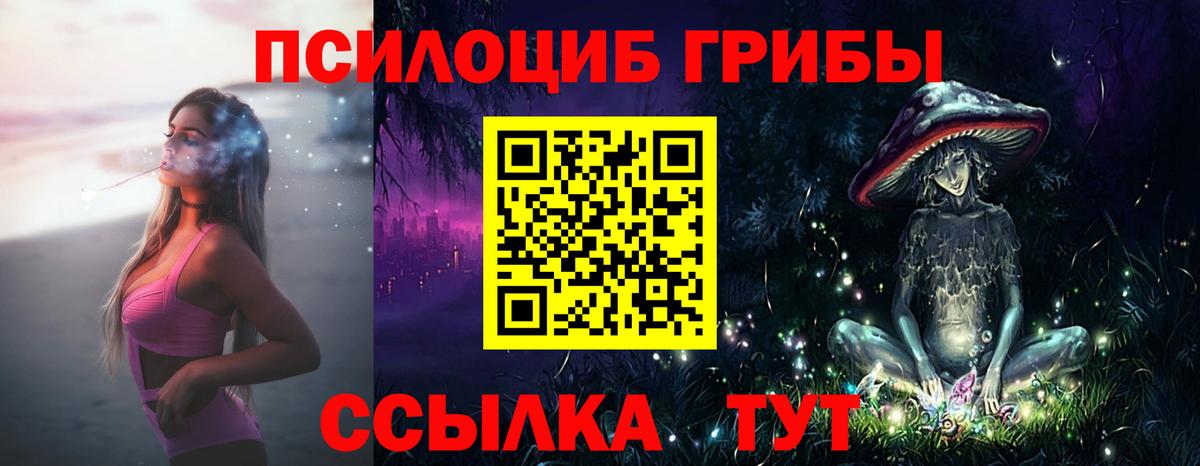 сколько стоит  Псилоцибиновые грибы GOLDEN TEACHER  Вход с VPN  Псилоцибиновые грибы мухоморы  Соликамск 